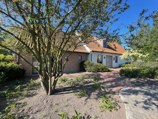 Of het nu aan de hand van siliconenharspleister, kalei, spuitkurk, hout of plaatafwerking is; je woning krijgt op een compleet nieuwe look!