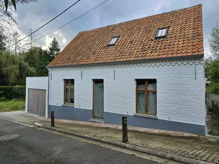 kaleien gevelrenovatie